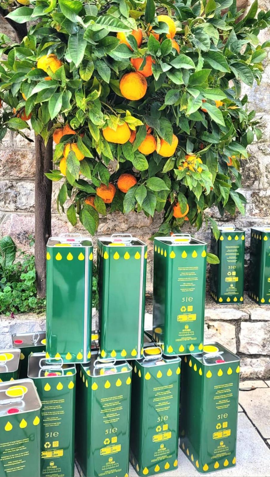 Trullo Bosco Libero Ostuni别墅 外观 照片