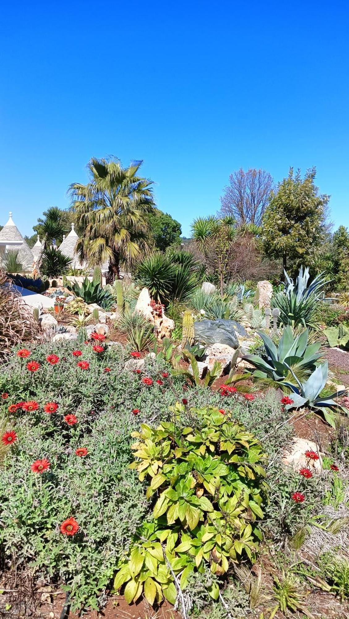 Trullo Bosco Libero Ostuni别墅 外观 照片